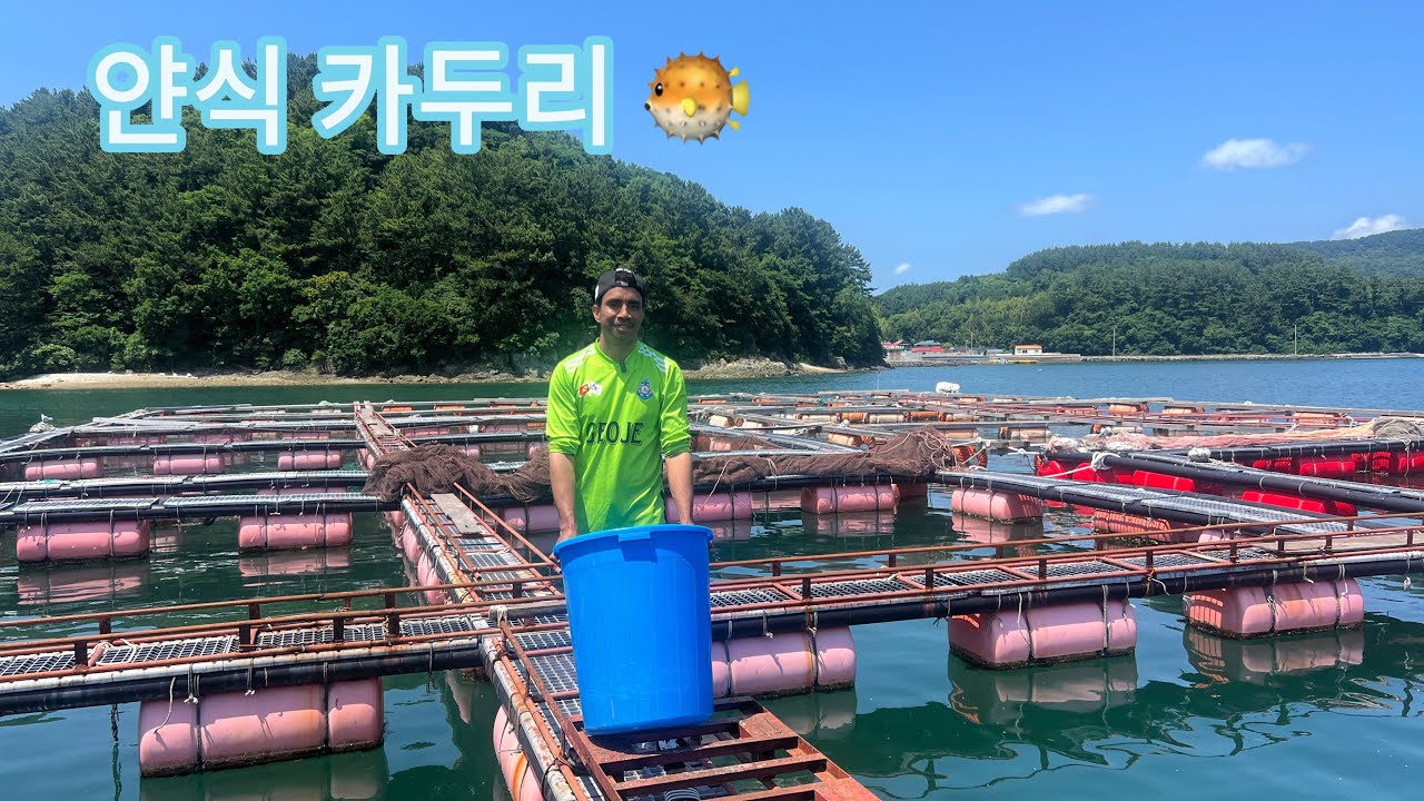 Kaduri Tasi Maneira Atu Fo Han ikan Phoksi iha kompania 수양 수상🐡😱