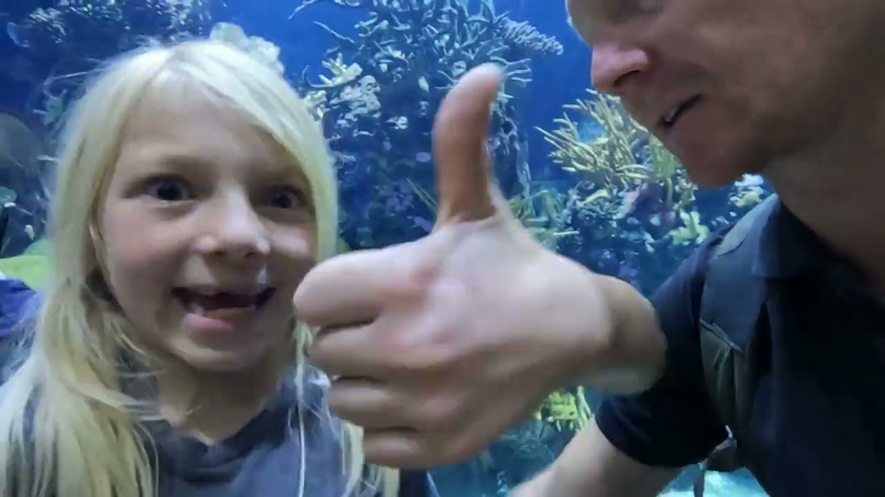 ROTTERDAM ZOO with KIDS - Diergaarde Blijdorp [Ep. 71]
