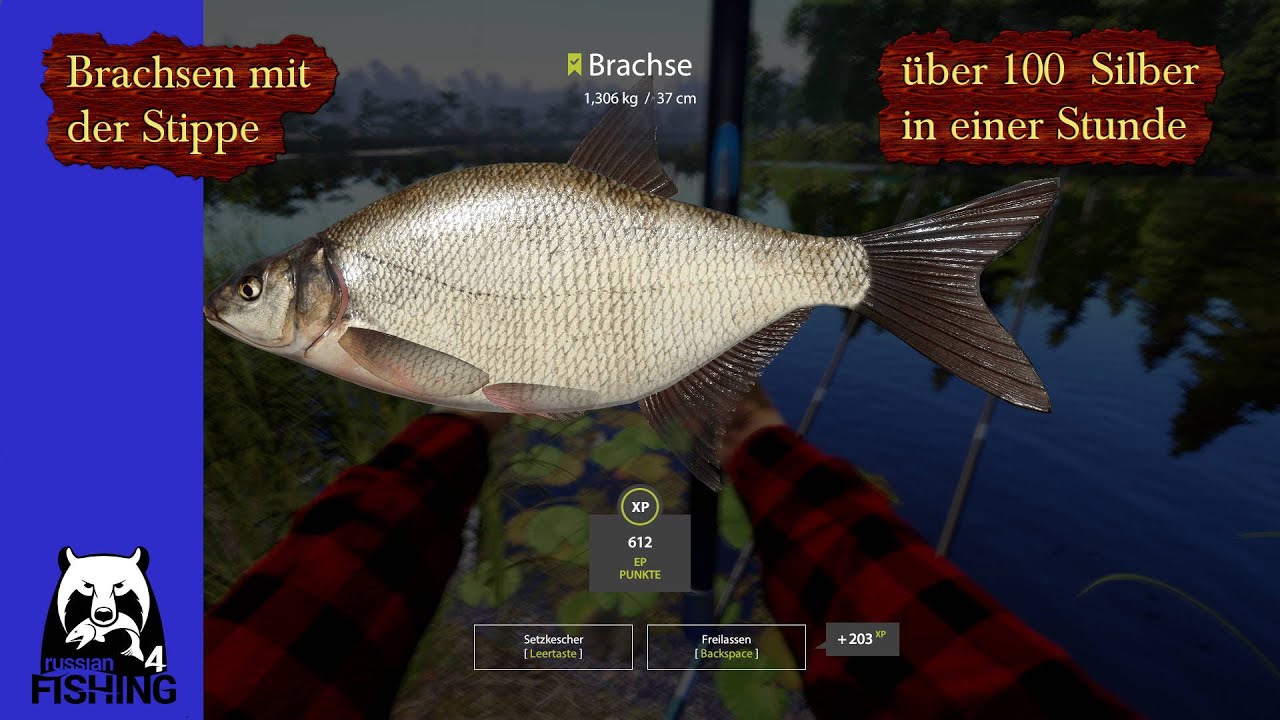 RF4 – BARCHSEN STIPPEN -An der Festung -Russian Fishing 4 #346