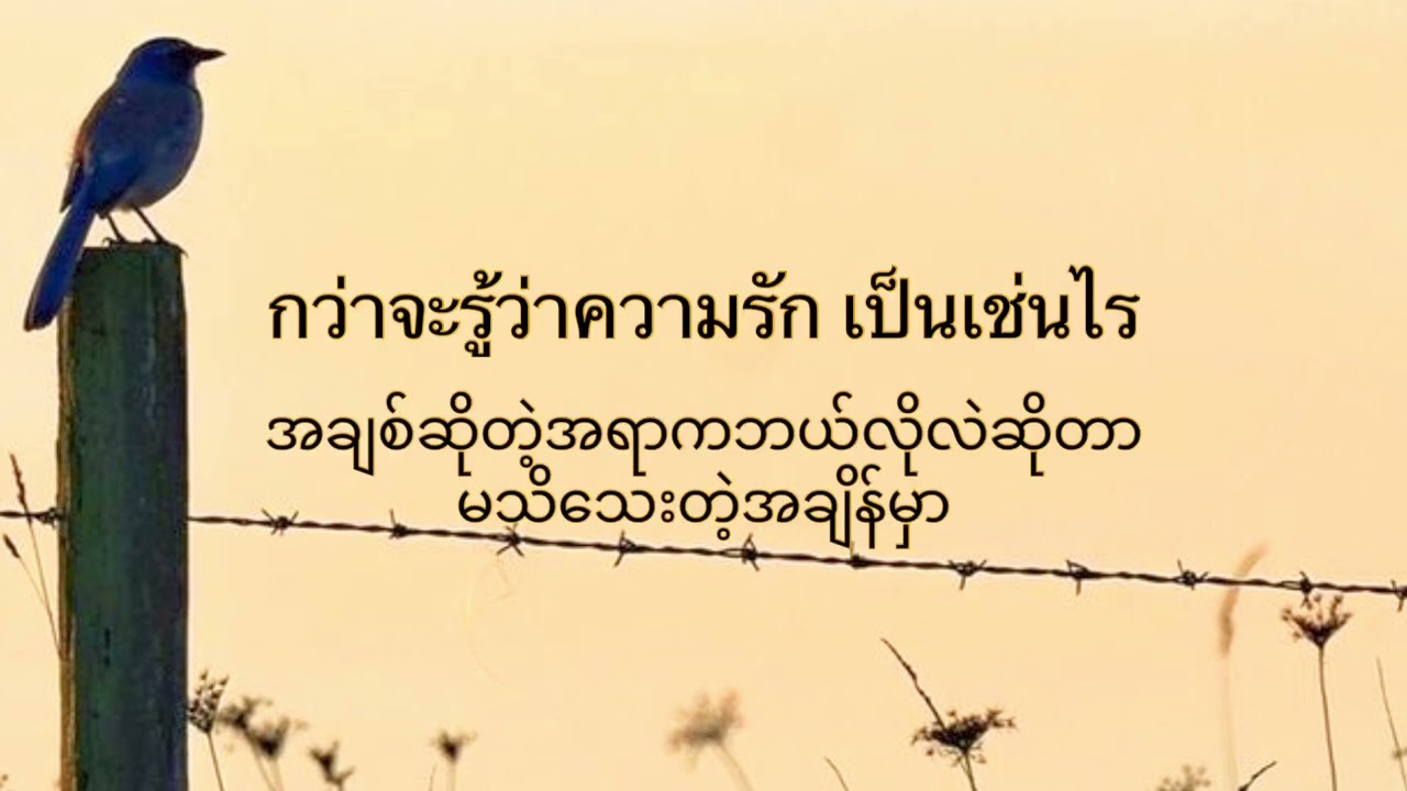 ไม่เดียงสา~BIG ASS မသိတာကအမှားမဟုတ်ပါဘူး ဘဝပေးအခြေအနေကသာမှားနေတာ 