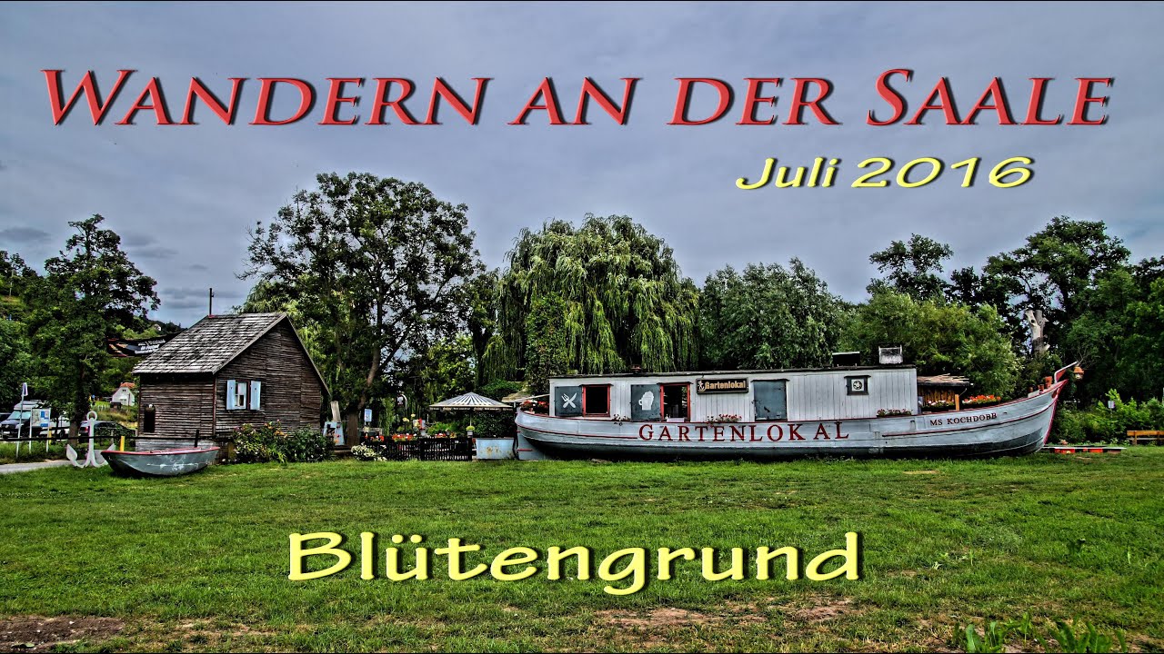Wandern an der  Saale- Unstrutmündung  BLÜTENGRUND // Juli 2016