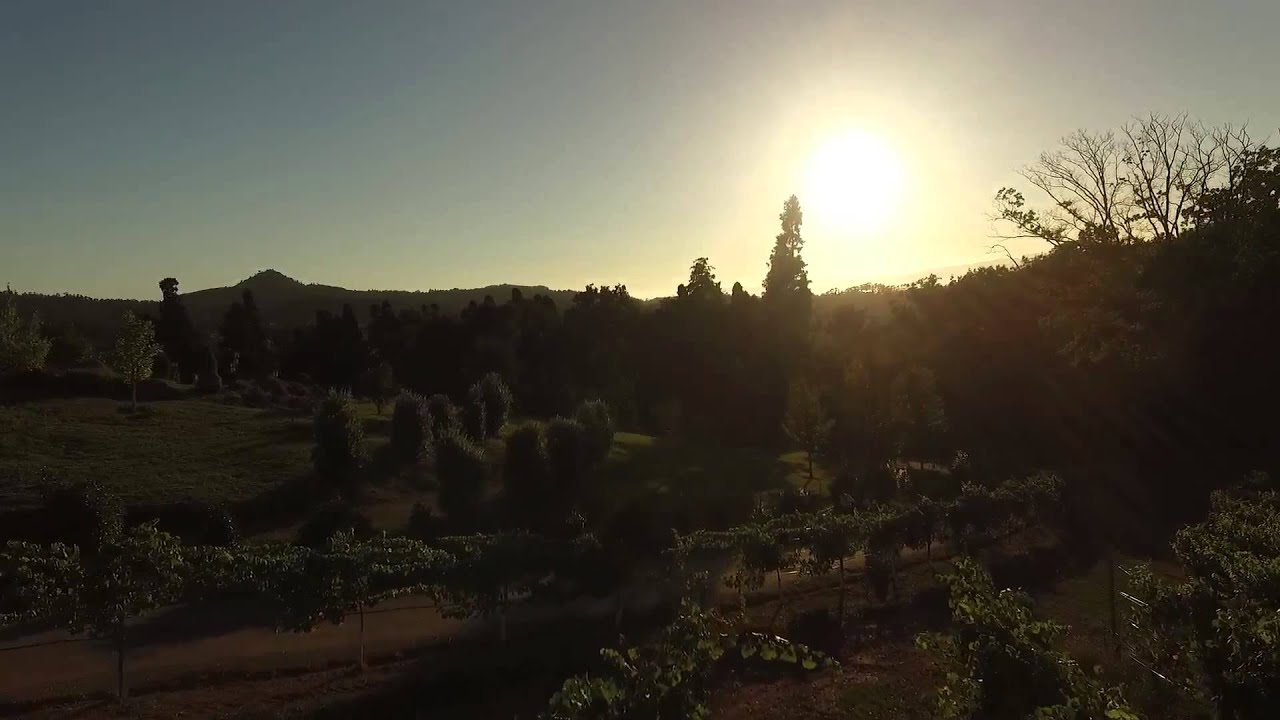 Velada de humor y magia gallega entre vi&ntilde;edos y camelias
