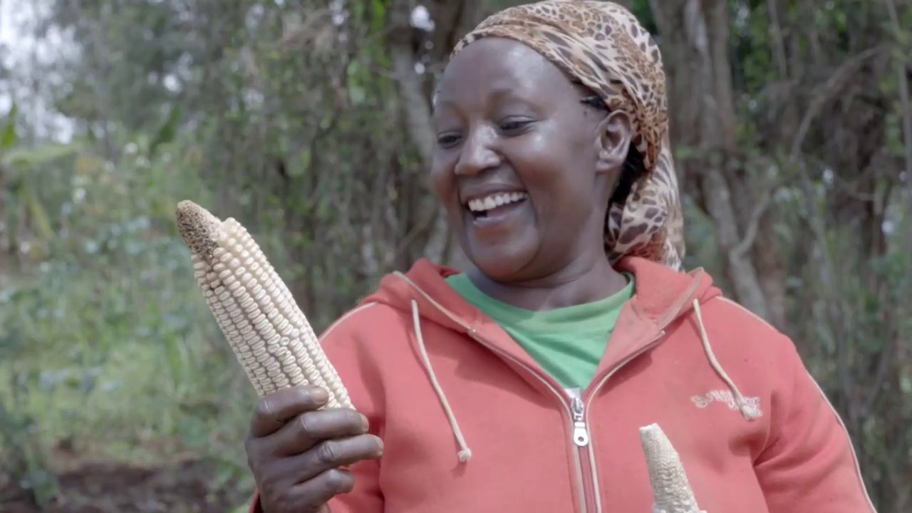 Transforming agriculture in Kenya