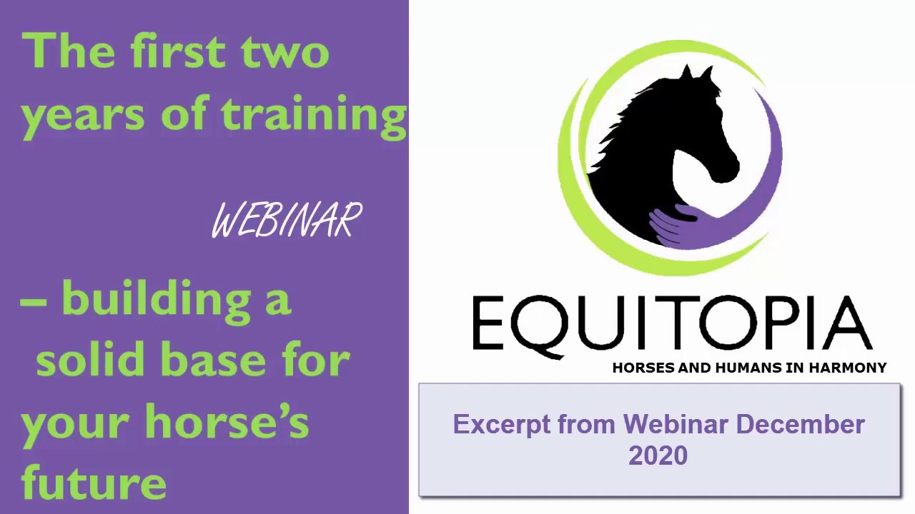 Webinar Dr Gerd Heuschmann (Excerpt)