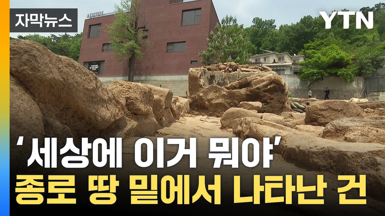 [자막뉴스] 서울 도심 땅밑서 발견…엄청난 희귀 사례 / YTN