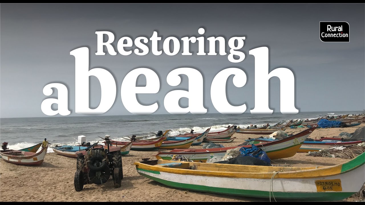 An artificial reef brings Puducherry beach back to life