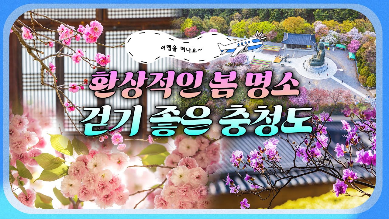 봄꽃과 함께 떠나는 유유자적 충청도 여행🌸 느림의 미학, 고즈넉한 매력 한껏! 환상적인 봄명소 걸으며 느끼는 충청의 맛집, 축제 핫스팟 코스 모음!✨ #여행을떠나요