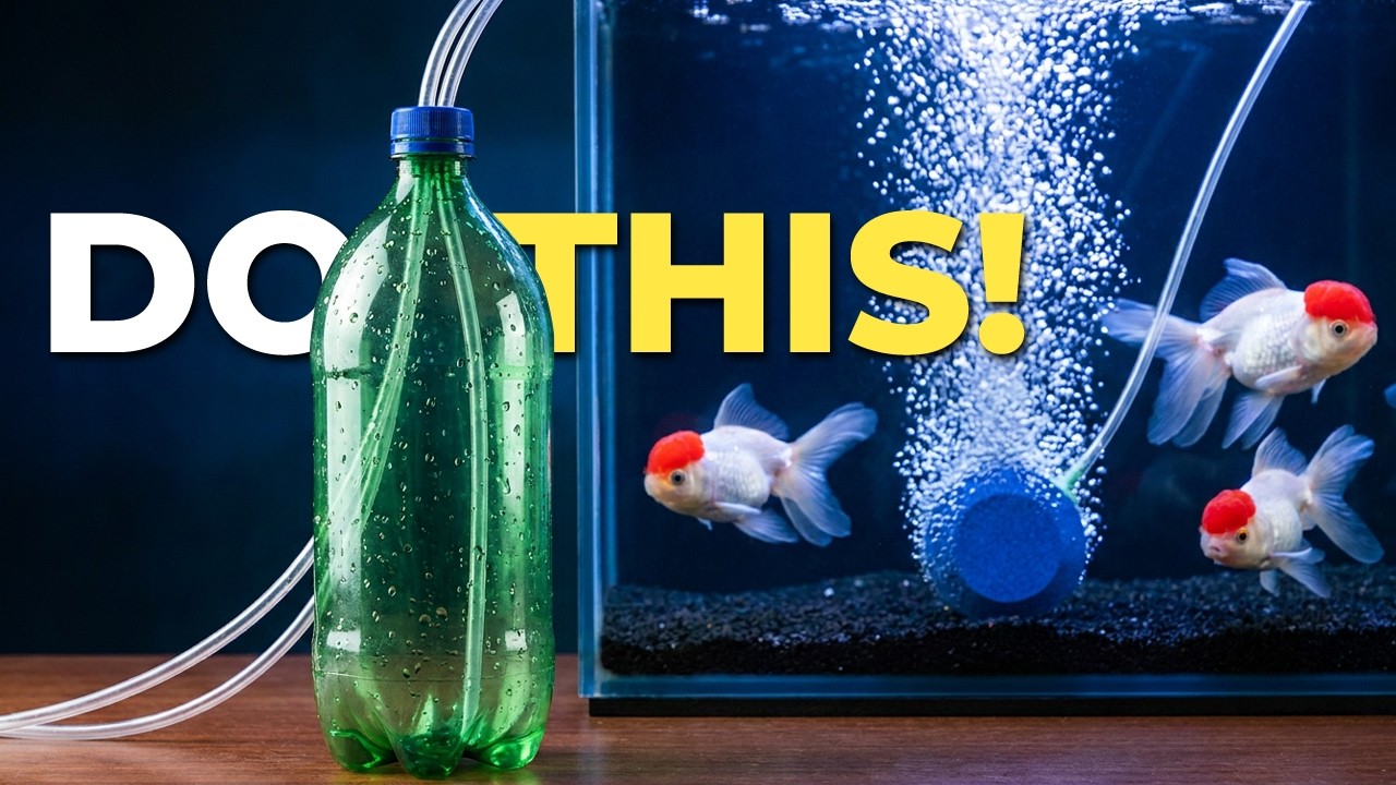 DIY Aquarium Air Pump Backup | Keep Fish Alive During Power Outages!