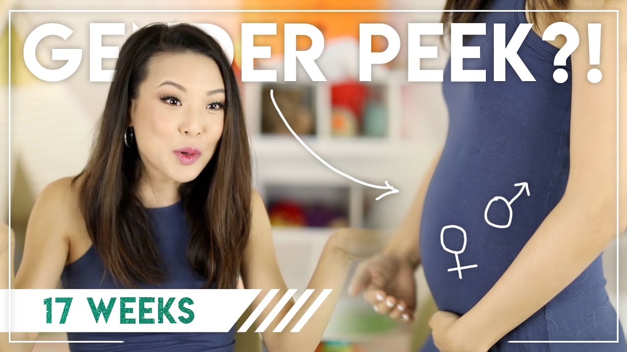 GENDER 1ST PEEK?! || Preggy Vlog Week 17