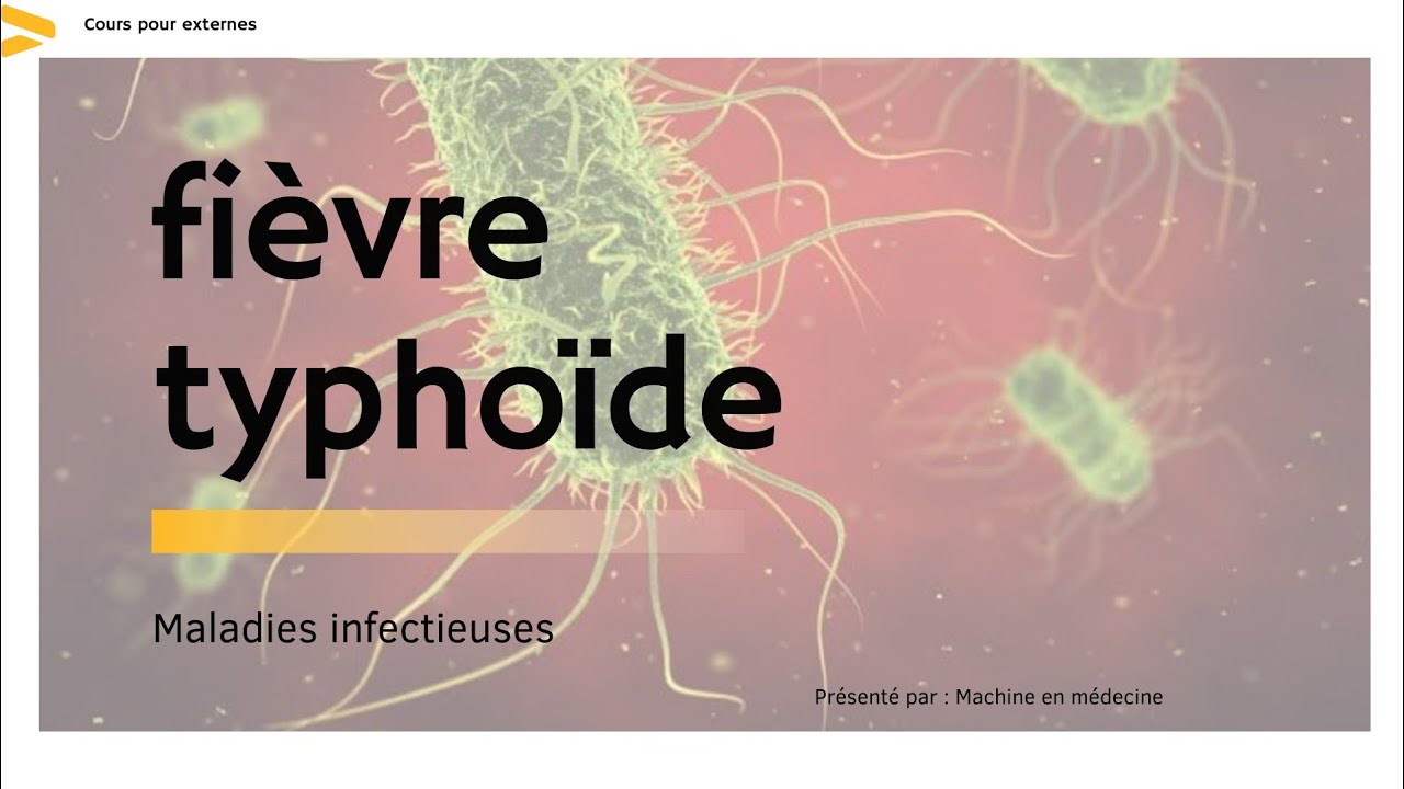 La fièvre typhoïde 💧