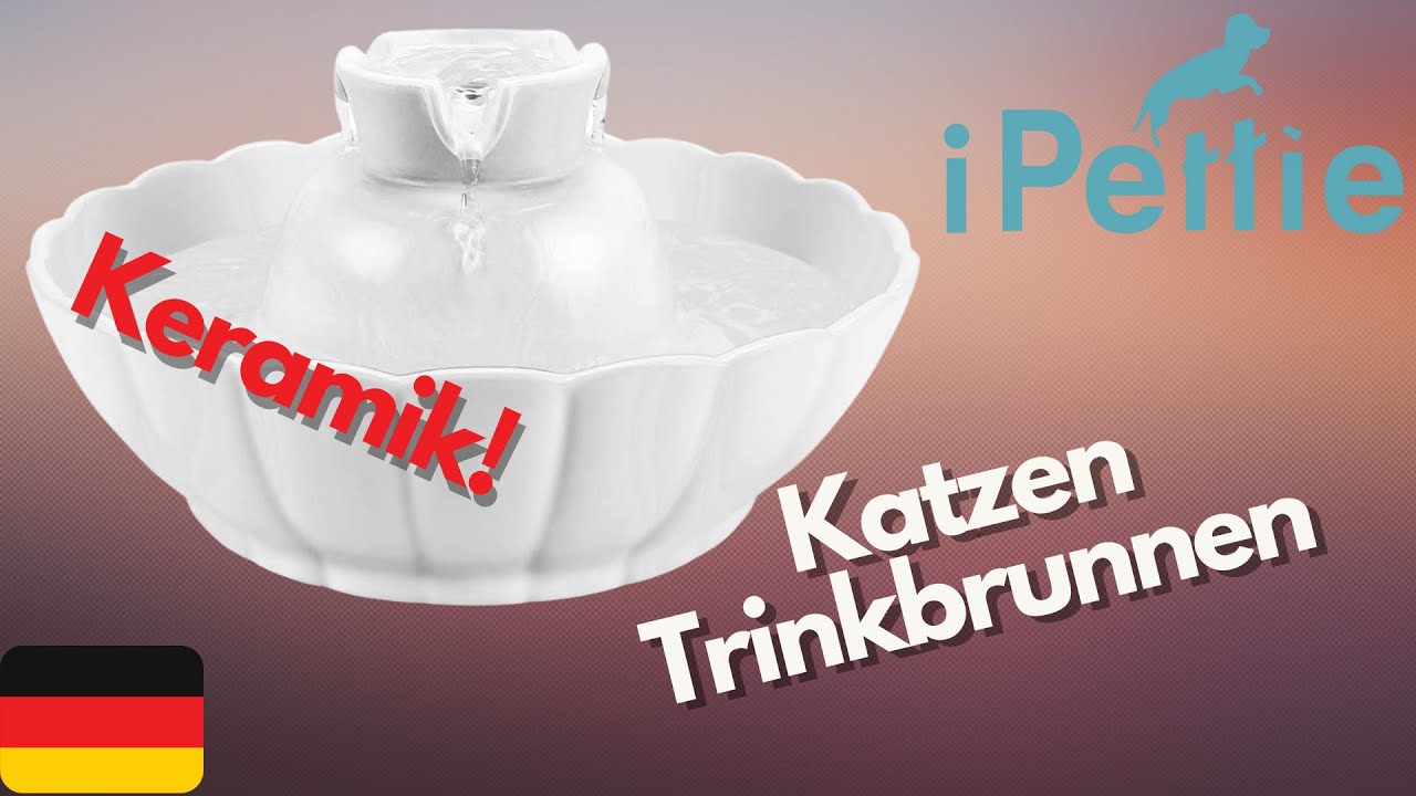 iPettie Keramik Katzen Trinkbrunnen - Der BESTE