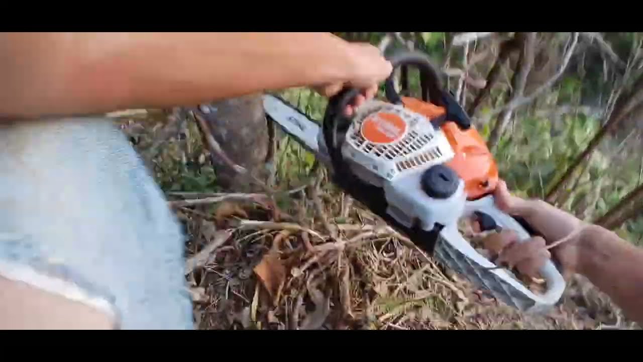 Minha opinião sobre o Stihl ms 162