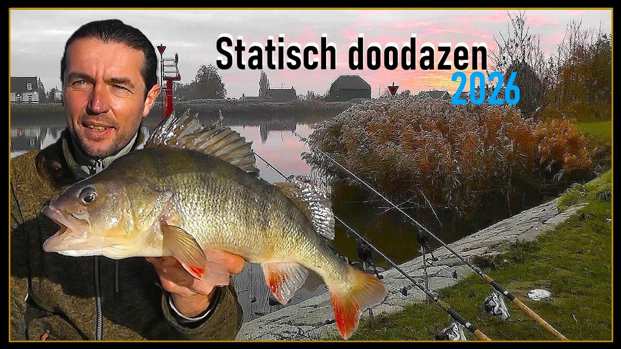 SNOEKBAARS VISSEN met DOODAAS in de winter van 2026 #106