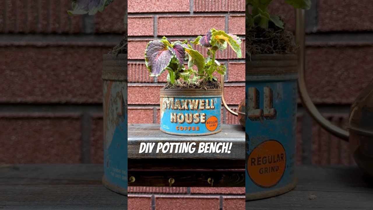 The Ultimate DIY Potting Bench