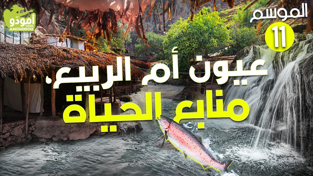 ✅ Amouddou TV 162  أمودّو / عيون أم الربيع، منابع الحياة
