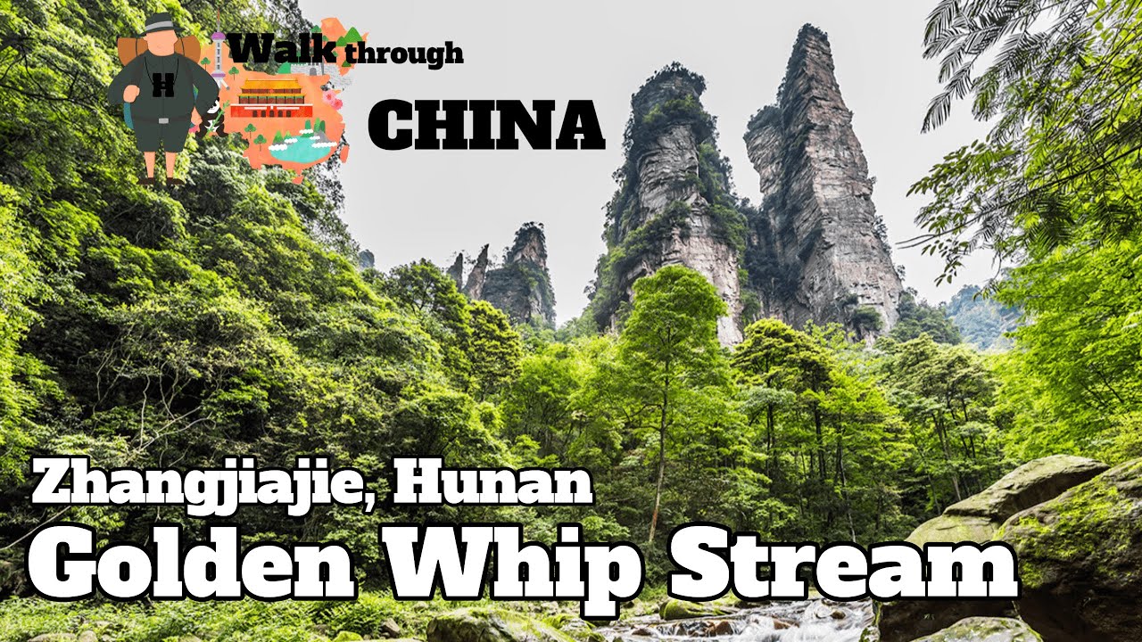 Zhangjiajie, Golden Whip Stream - Stone columns seen from the bottom