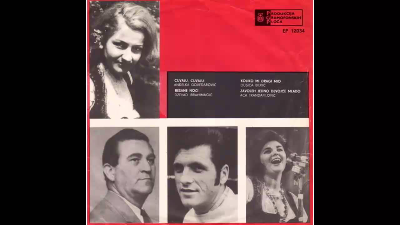 Dusica Bilkic - Koliko mi dragi mio - (Audio 1969) HD