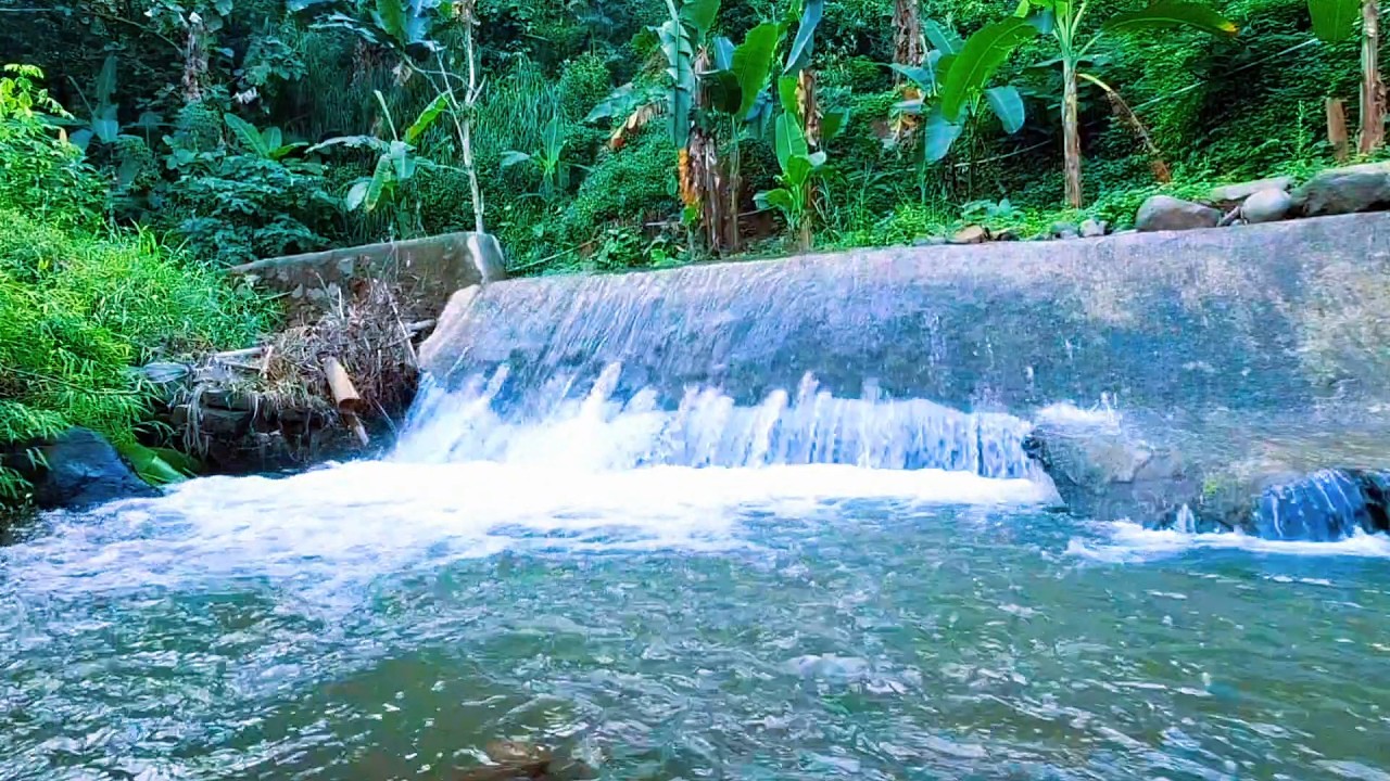 Gentle River Flow for Peaceful Sleep