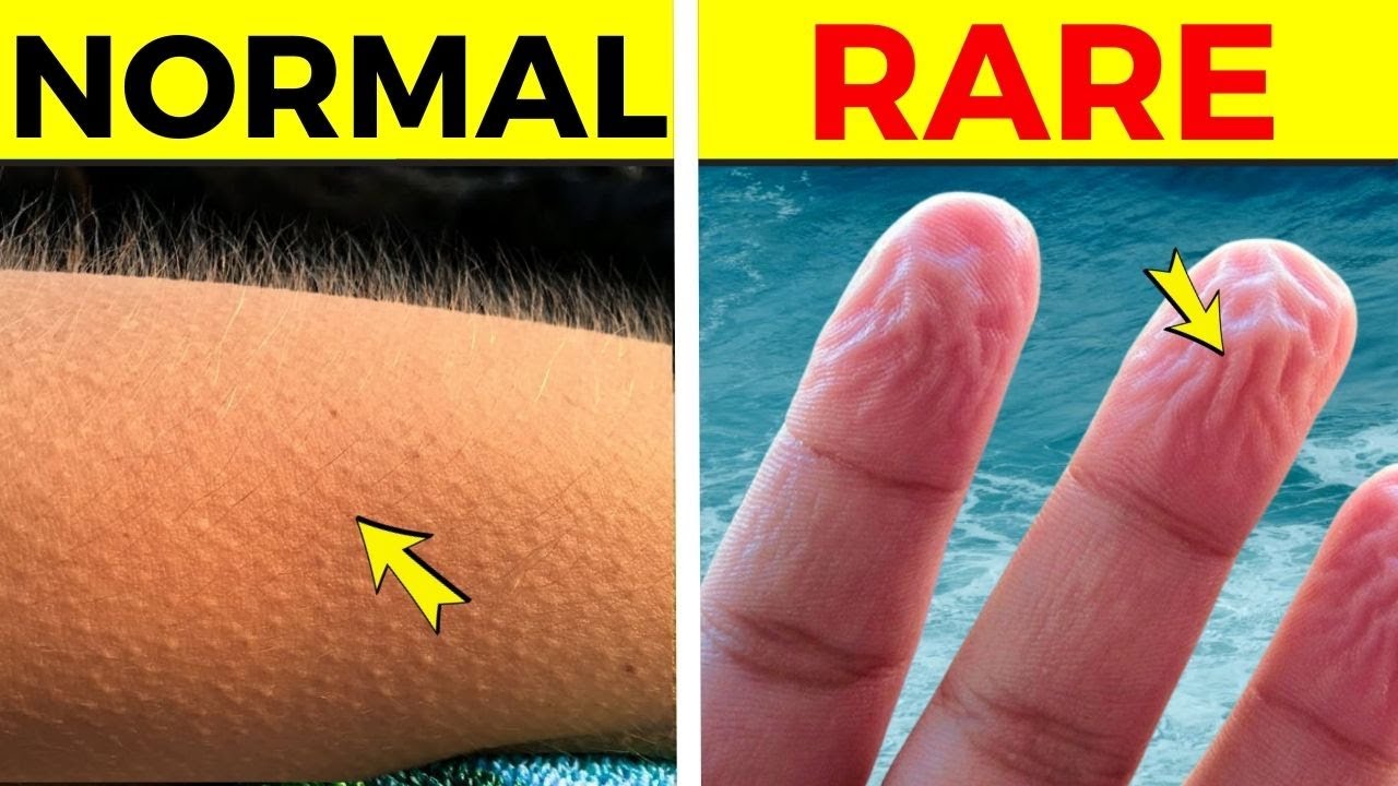 Body Facts That Will Blow Your Mind | Fact Minded