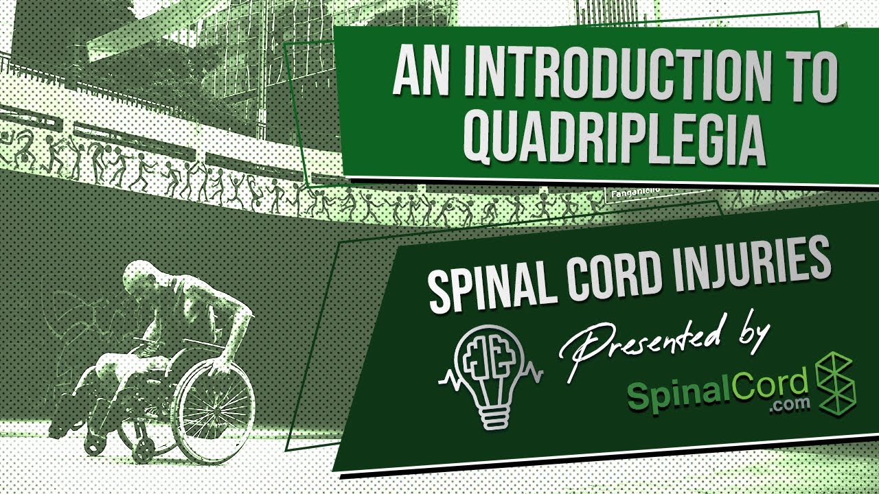 Quadriplegia | Tetraplegia | Quadriplegic | Tetraplegic | Quadriplegia Definition