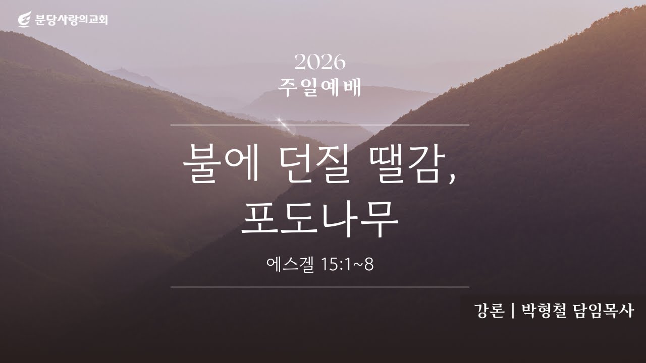 분당사랑의교회 260125 주일예배 | 불에 던질 땔감, 포도나무 | 박형철 담임목사 | 에스겔 15장 1-8절