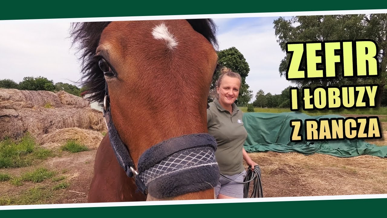 Zefir i łobuzy z Rancza 🐎🐎