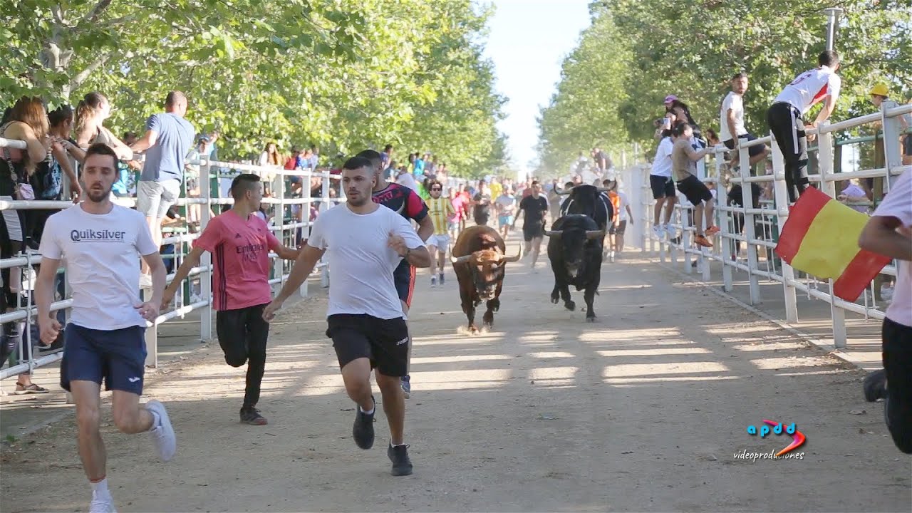 fiestas Marchamalo, agosto 2022