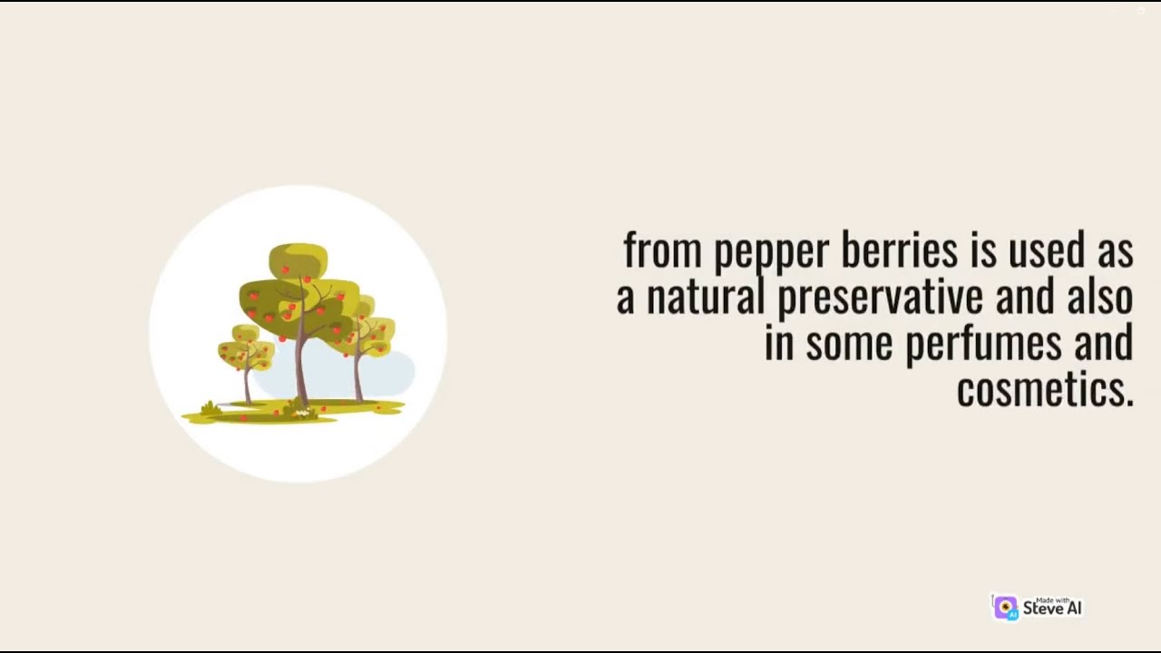 Pepper production process | Part 2 | Farming Futures