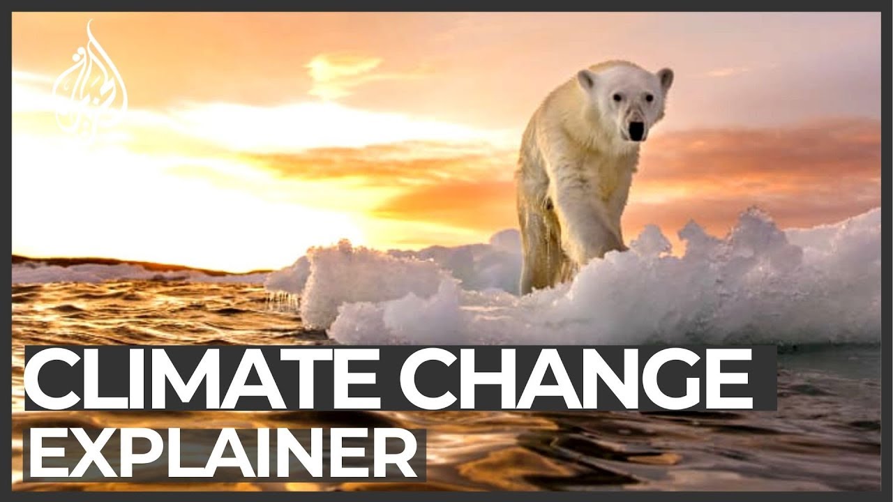 Explainer: How temperature rise will affect our planet