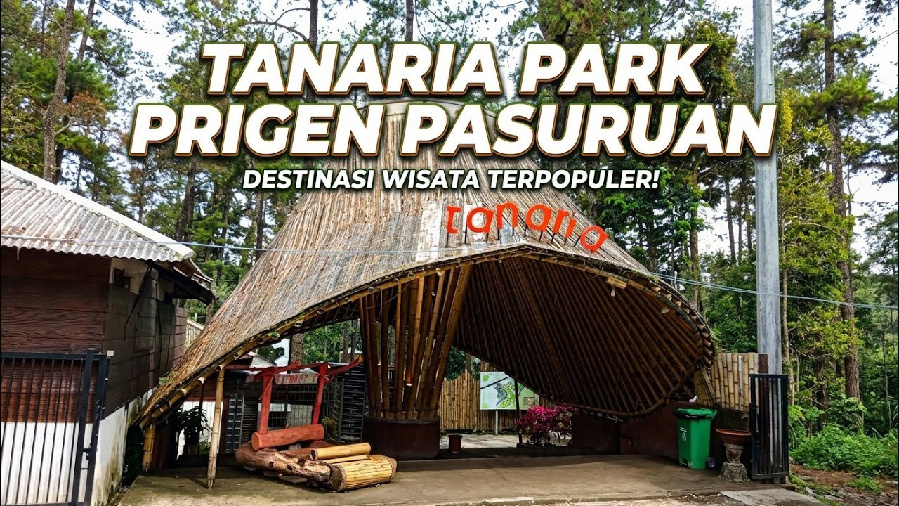 Путешествие в Танарию, Приген, Пасуруан #eastjavatourism #pasuruan #prigen #traveling #tourism