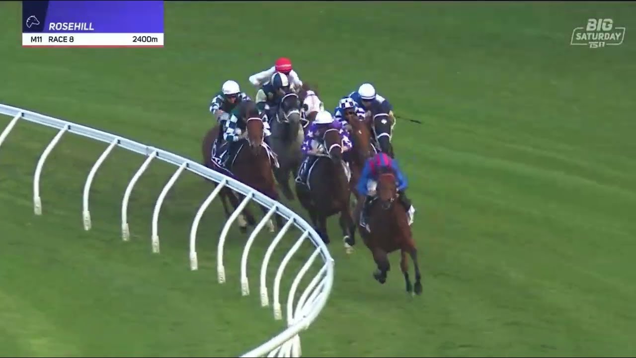 AELIANA | KIA TANCRED STAKES GROUP 1 2026