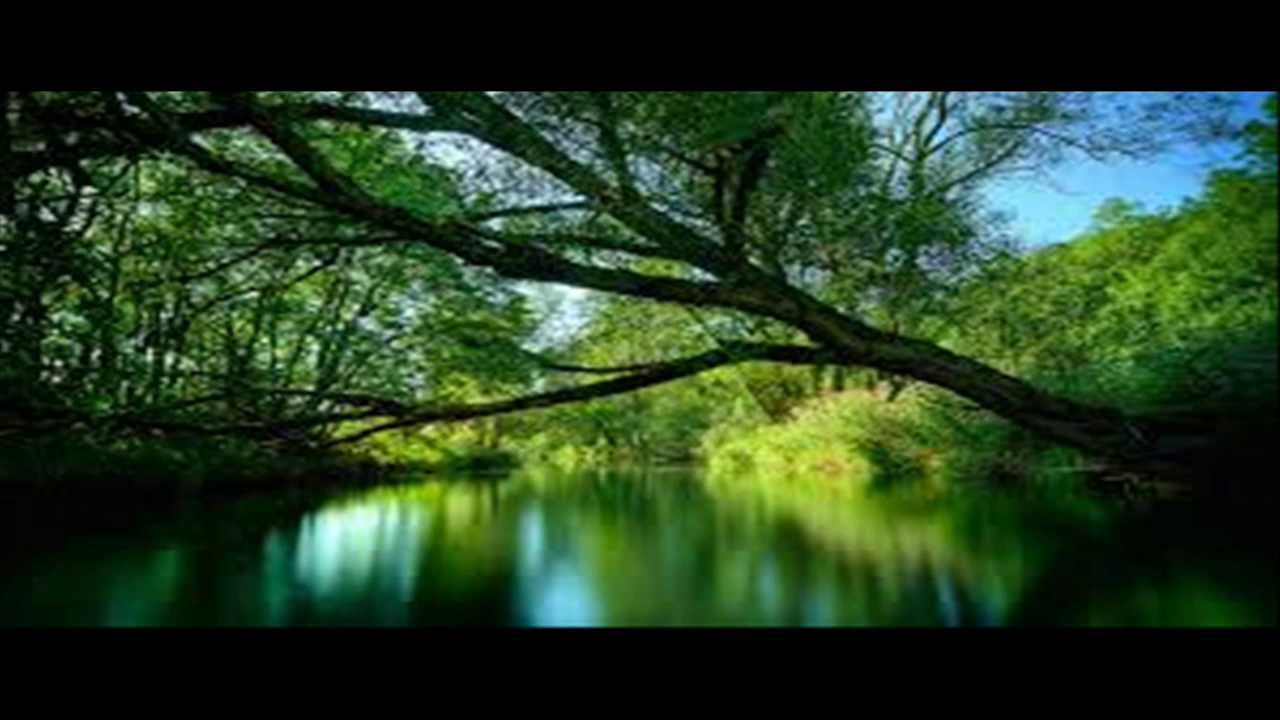 Party Techno Mix vol.13