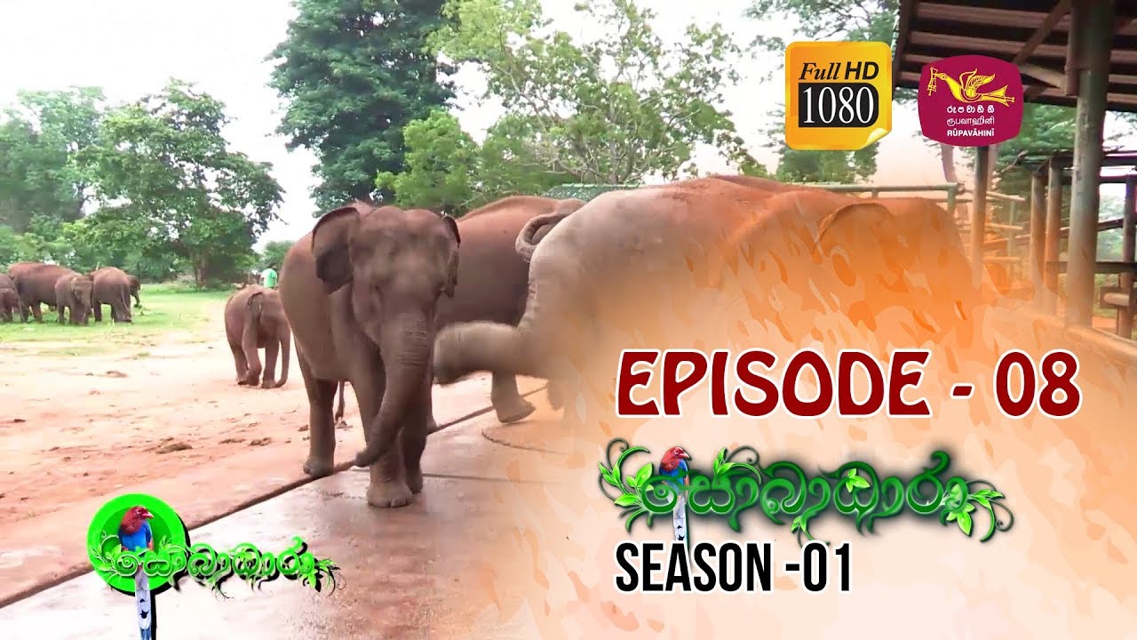 Sobadhara | Season - 01 | Episode 08 | Sobadhara Rupavahini