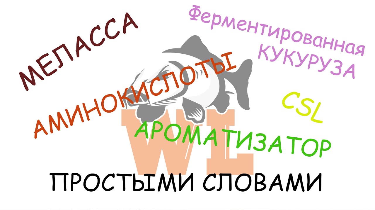 Аминокислоты для карпа, CSL, Ферментированная кукуруза и меласса  Простым языком как это работает