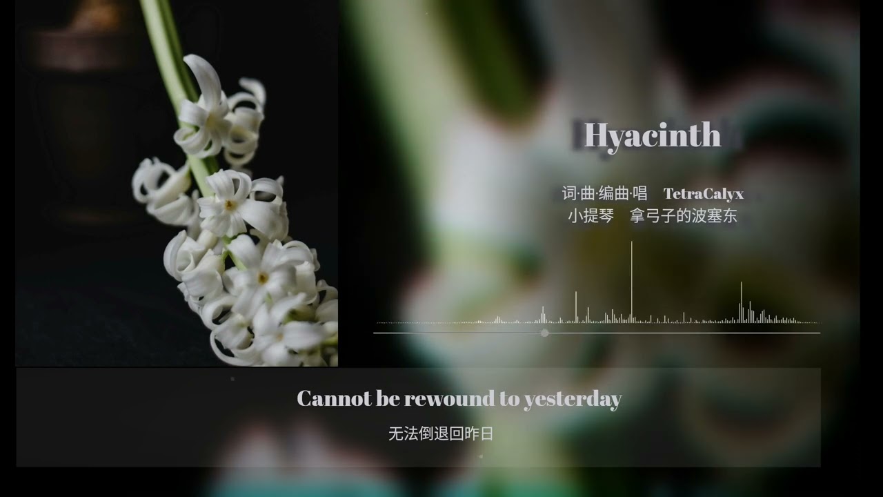 Hyacinth