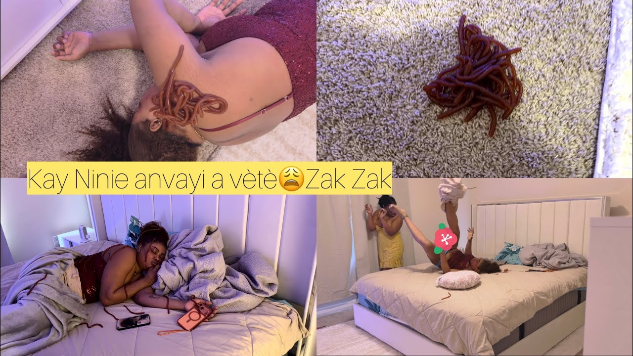 Vètè anvayi bobot Dorothy nan domi revenge prank snake 🐍 