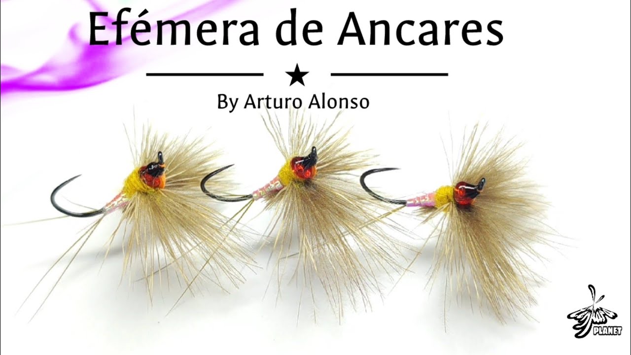 Montaje de moscas: Efémera de Ancares Lila. Montaje en pelo de Ciervo y CDC.