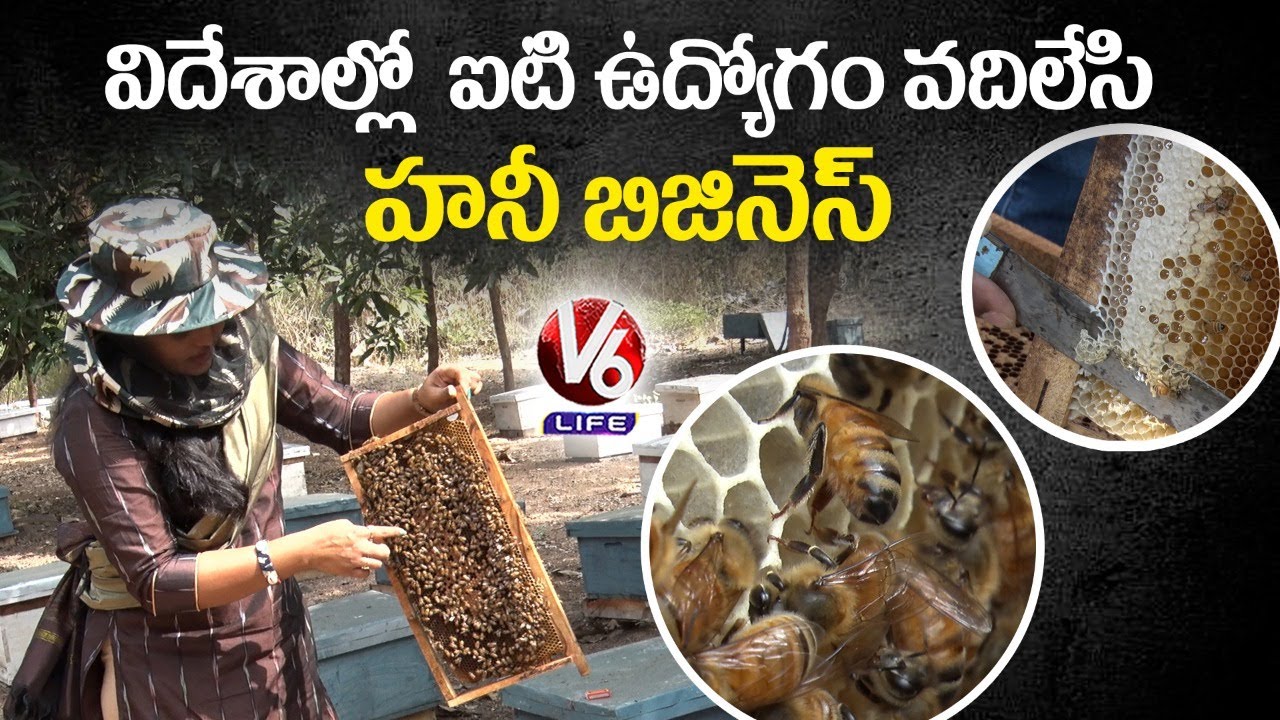 Harvesting Pure Honey | Bee Keeping | Woman Entrepreneur Anusha | V6 Life