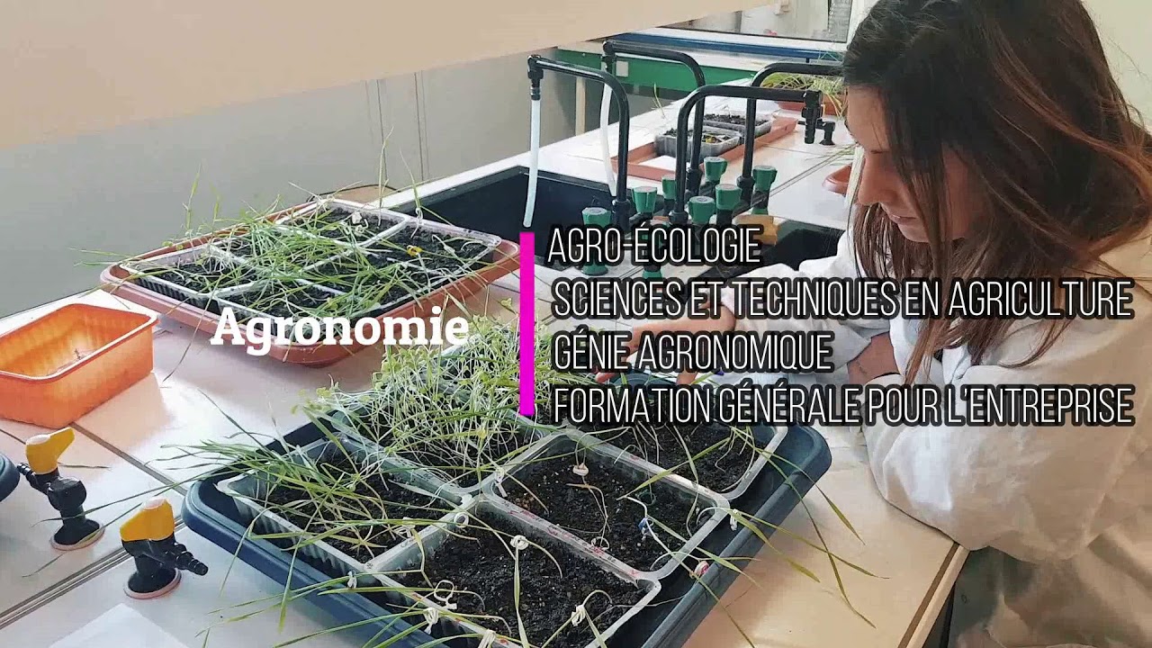 Génie Biologique - Site de Périgueux - IUT de Bordeaux