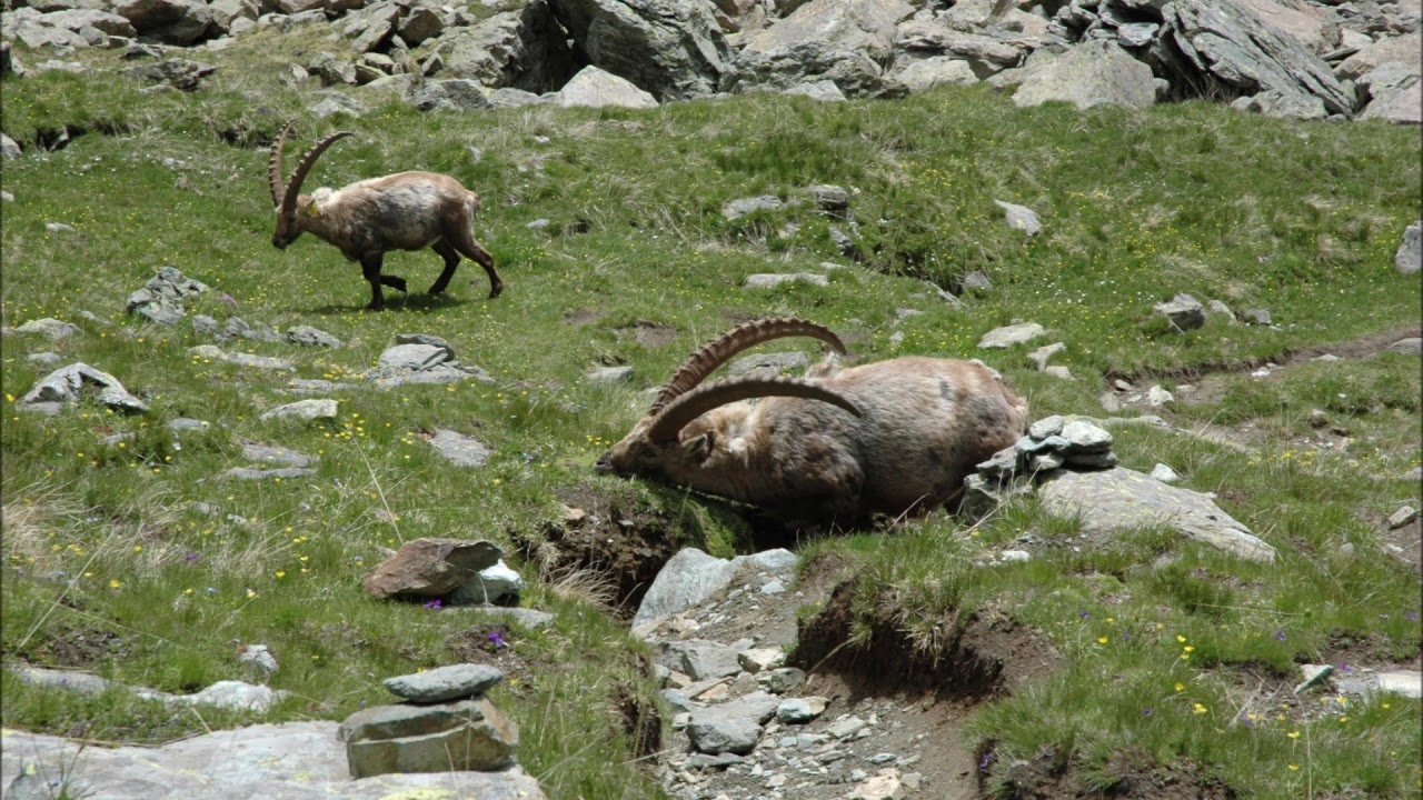 Val Chisone Lago Ciardonnet e Rifugio Selleries.
