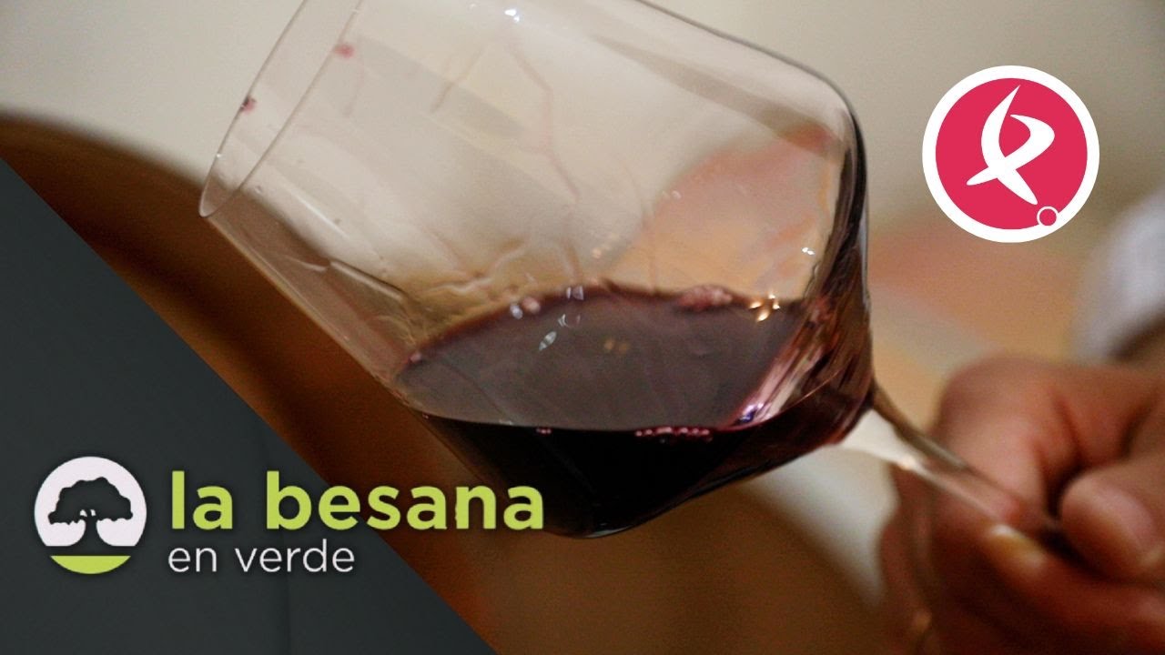 El mejor vino de Extremadura se elabora en Almendralejo | La besana en verde