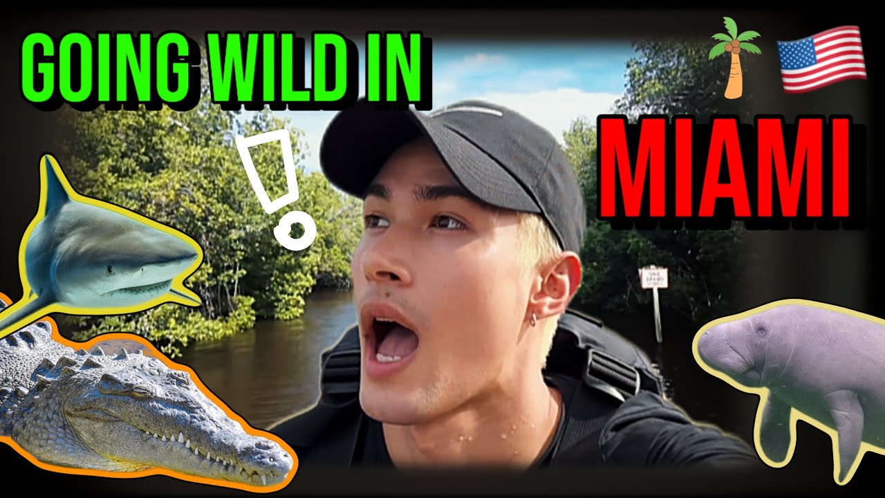 [米卡mikah] Vlog | Miami Shock: Wow or Oops? Gators🐊& Sharks🦈! (ENG-SUB)