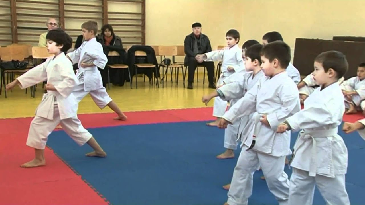 Demonstratie Karate Traditional Shiro Washi - Part. 1