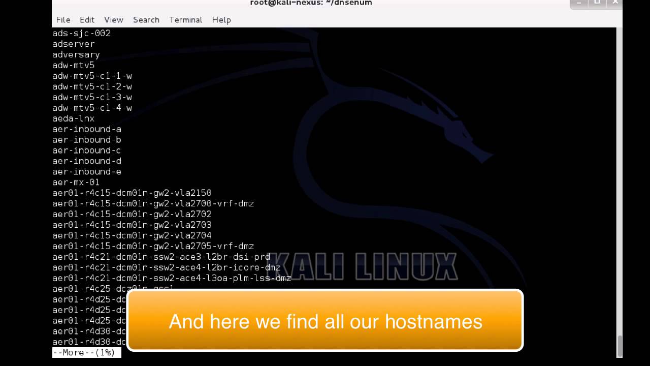 dnsenum tutorial