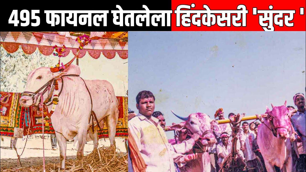 आठवणीतील सुंदर| शिवराज ट्रॅव्हल्स,पुसेगांव| Aathavanil sundar| shivraj travels