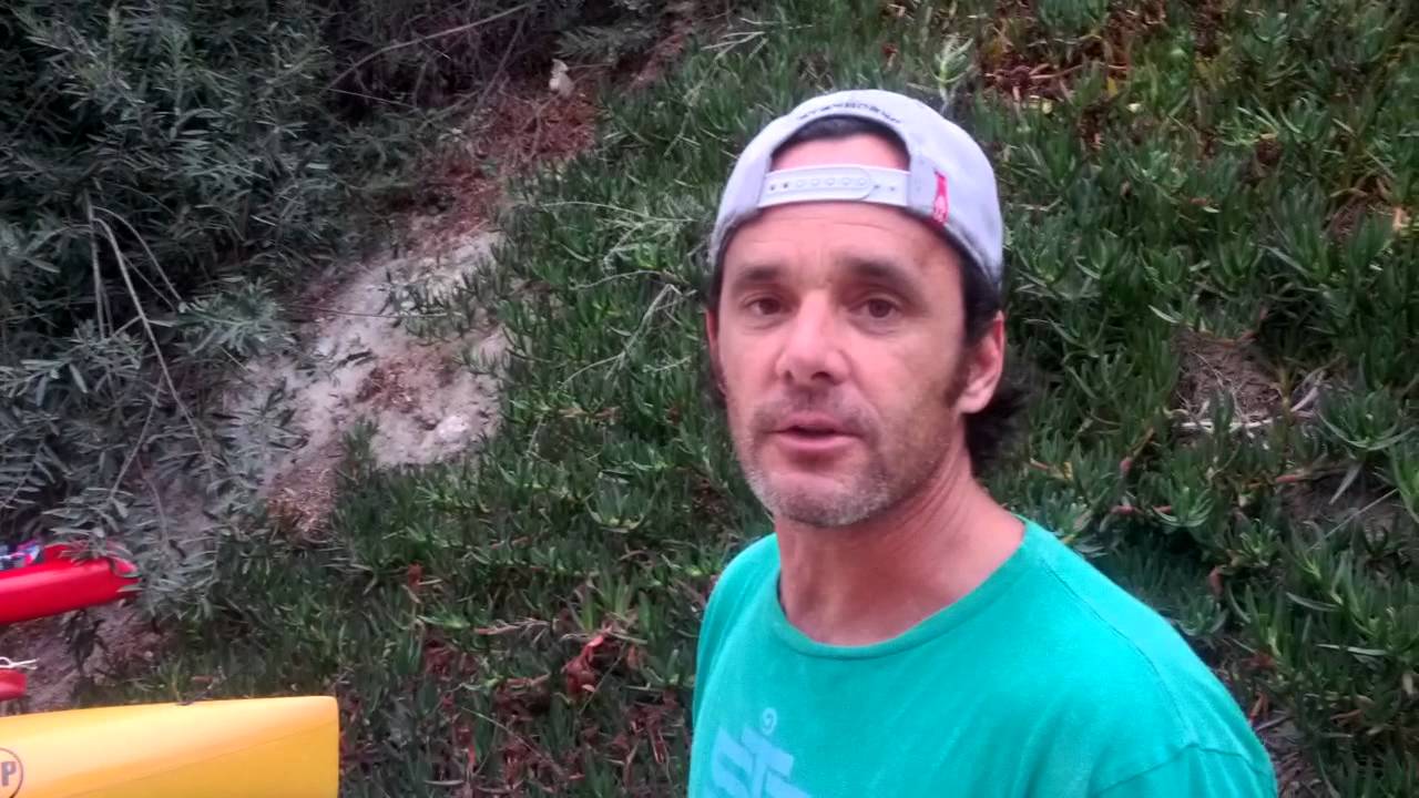 The Ding King - SUP Stand Up Paddle Repair