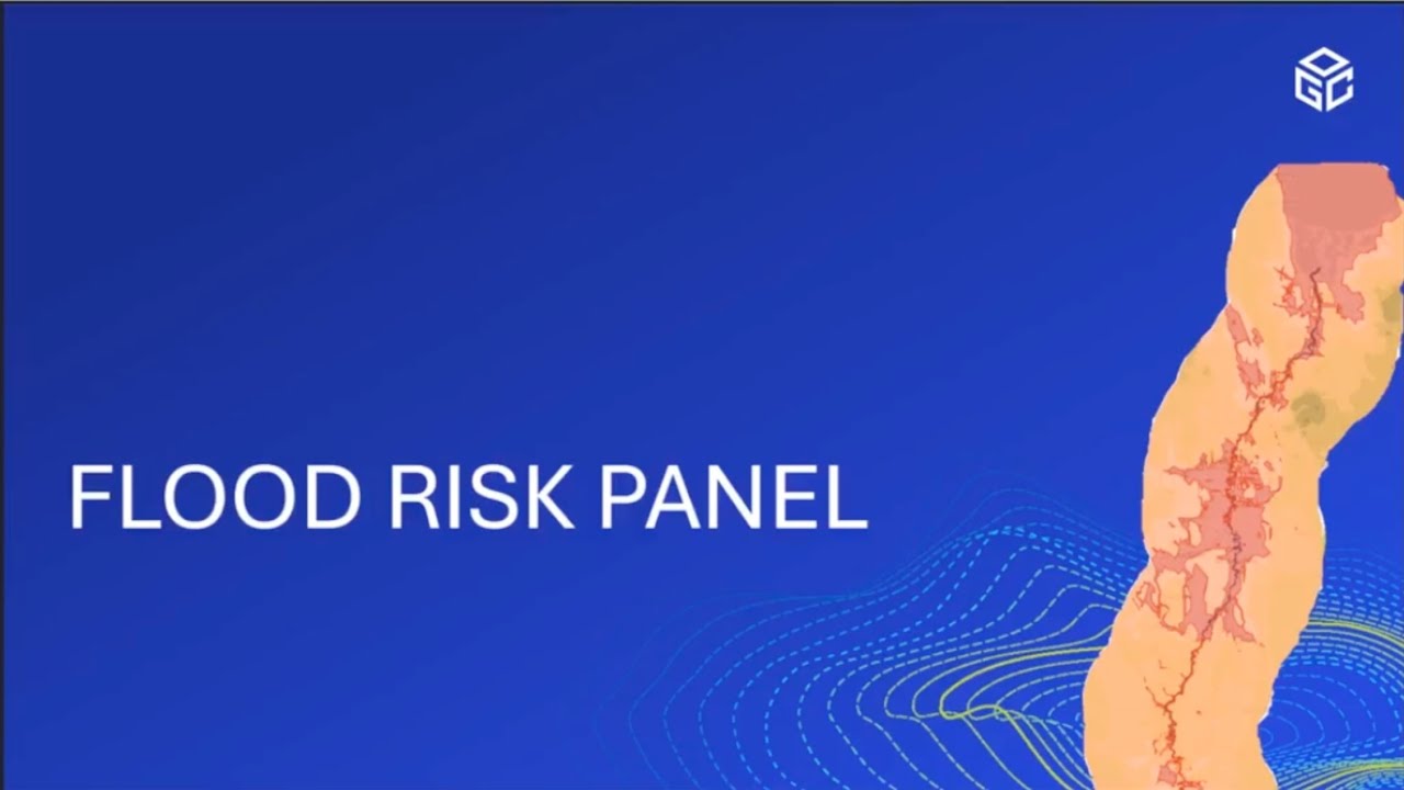 AI-DGGS Workshop: Flood Risk Panel