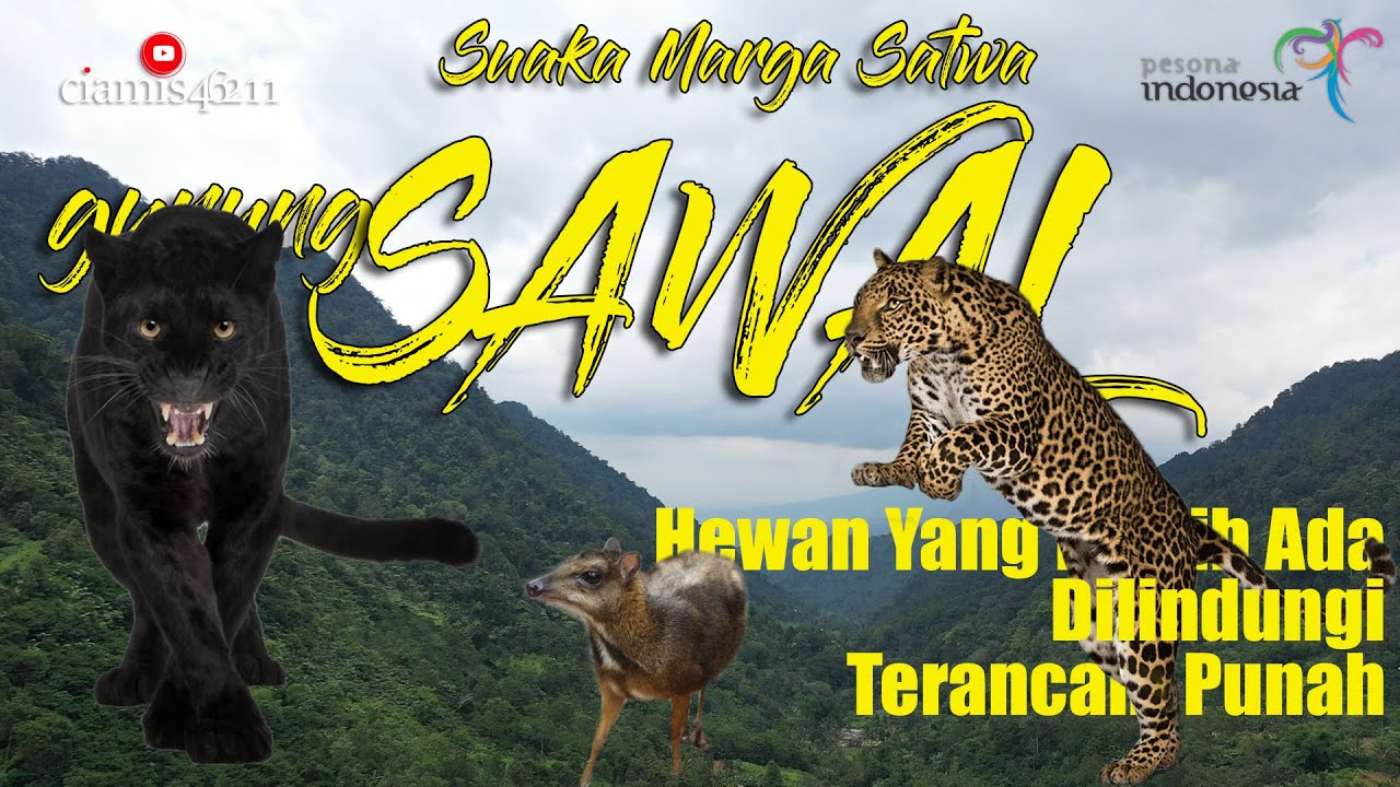 SUAKA MARGASATWA GUNUNG SAWAL