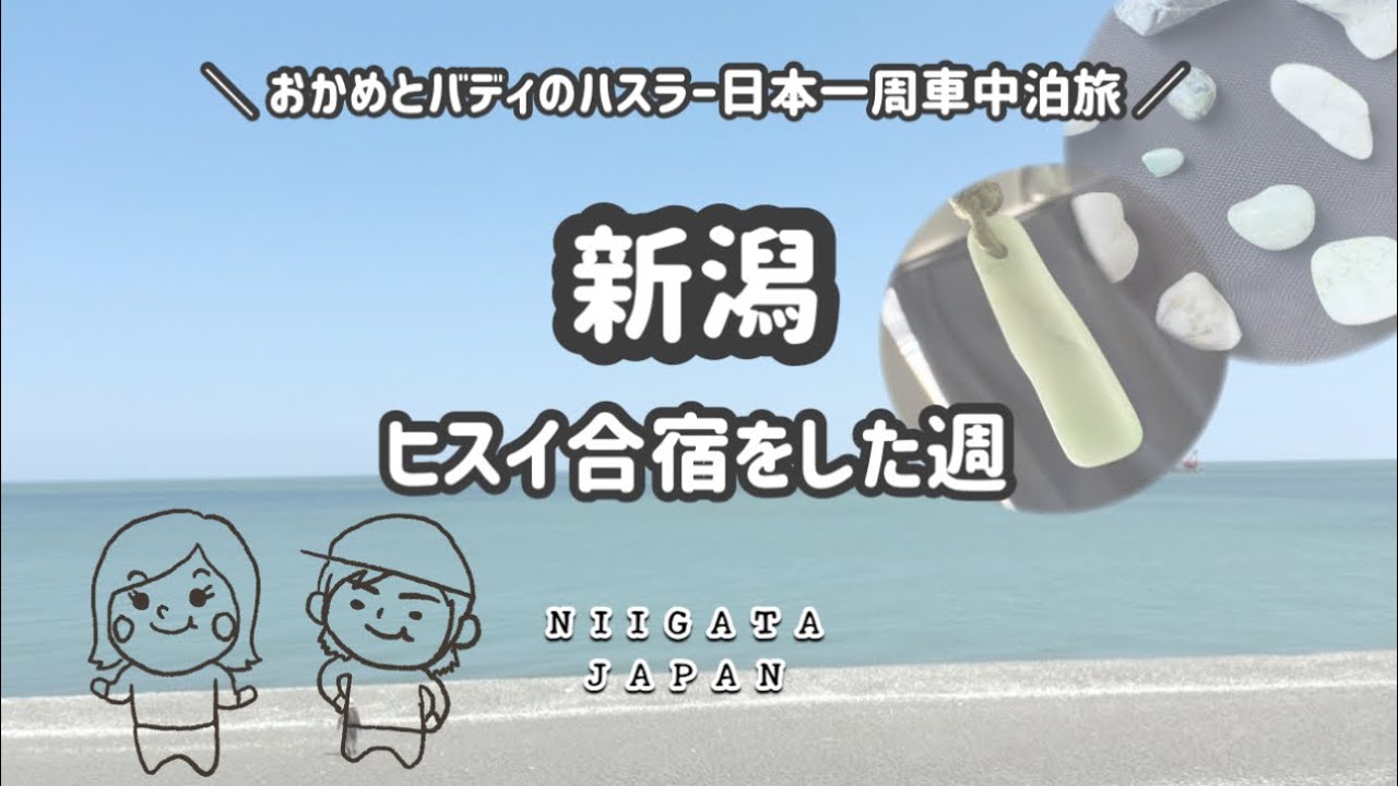 【新潟】ヒスイ合宿をした週。#おかめとバディ #車中泊 #節約旅 #ヒスイ探し 
