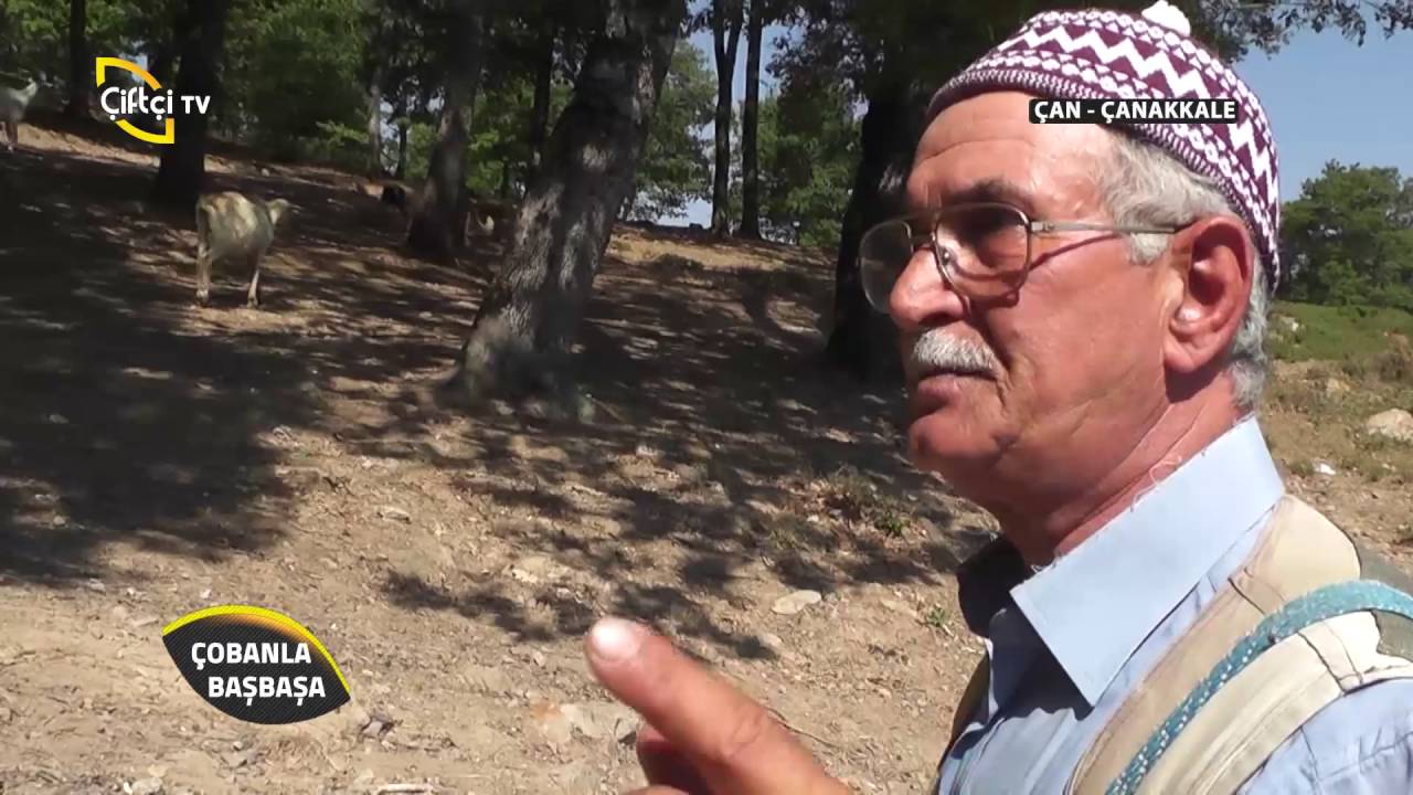 Çobanla Baş Başa-Çan-Çanakkale
